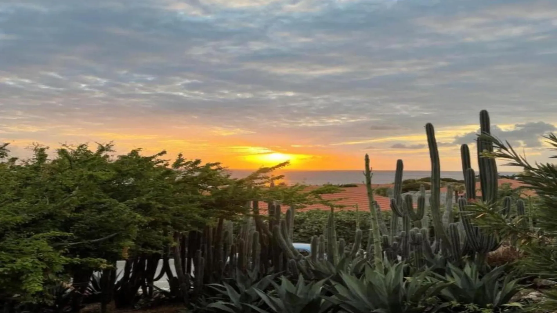Holiday Villa At Jan Thielstrand In Willemstad